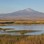 Sultan Marshes reedbeds and shallow water beneath Mount Erciyes near Kayseri